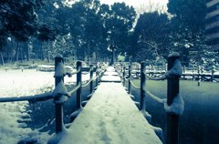 雪の平和の森公園１０