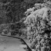 雪の平和の森公園９