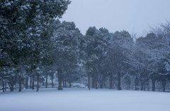 雪の平和の森公園３