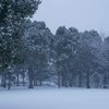 雪の平和の森公園３