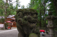 長瀞～宝登山神社の狛犬