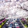 歩道橋から