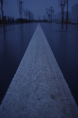 暗い白い道