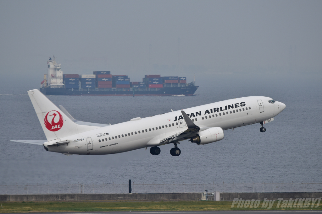 JAL737
