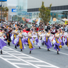 ちばYOSAKOI 2019 ①