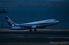 ANA Boeing737