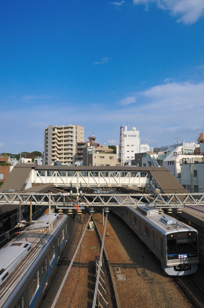 青空の下