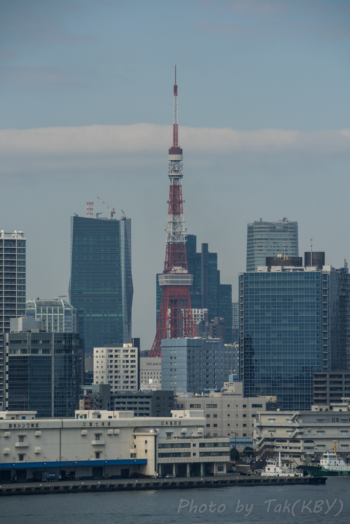 虹橋からの東京タワー