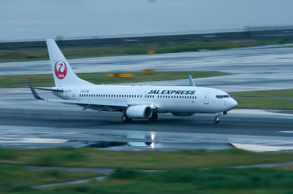 JAL 737