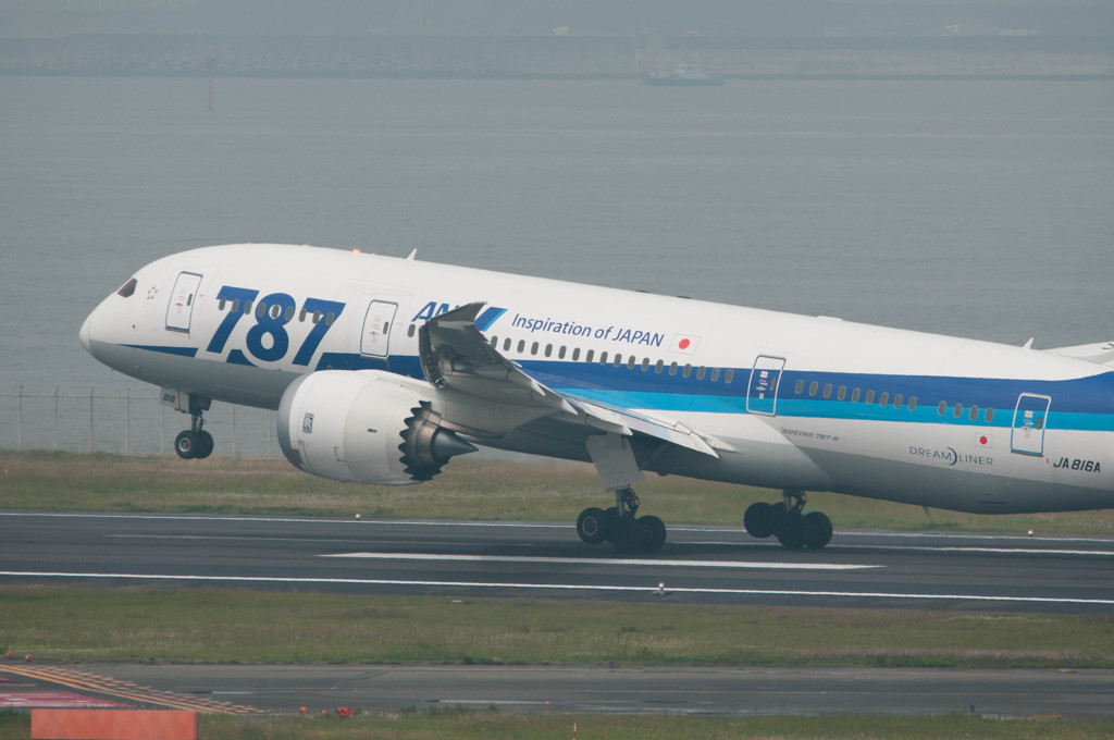 787特装仕様
