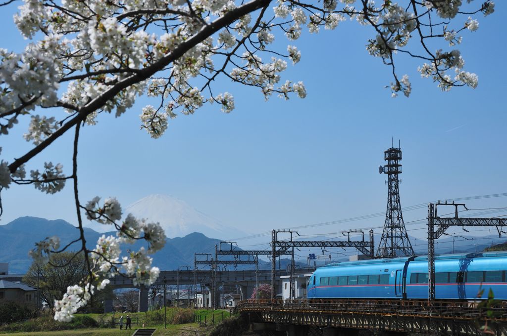 富士＋桜＋ロマンスカー