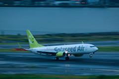 Solaseed 737