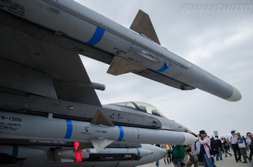 Wild Weasel