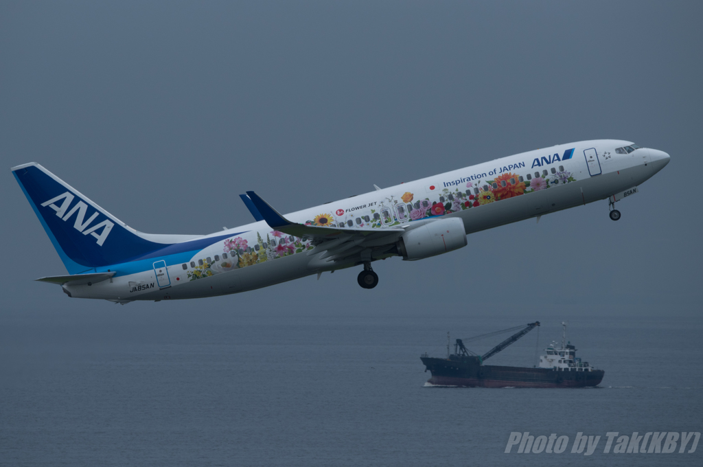 Flower Jet