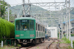 何をしているんでしょーか？