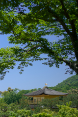 鳳凰がいる屋根