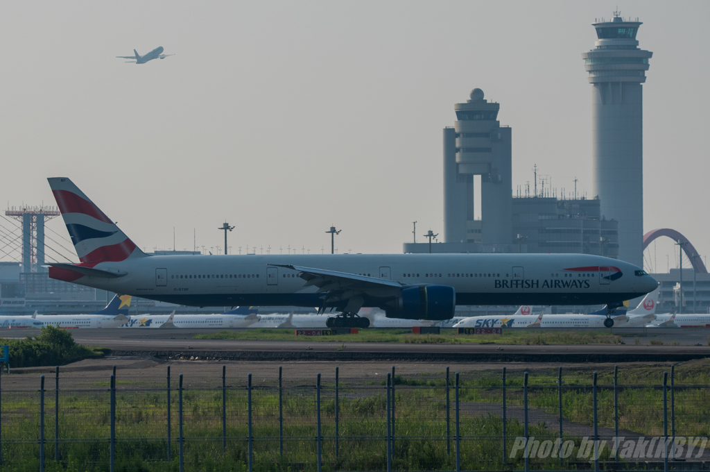 Speed Bird