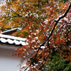 白壁と紅葉と初雪