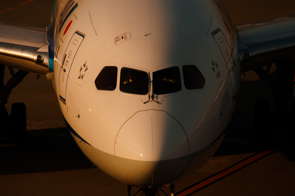 Dreamliner