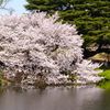 重量感