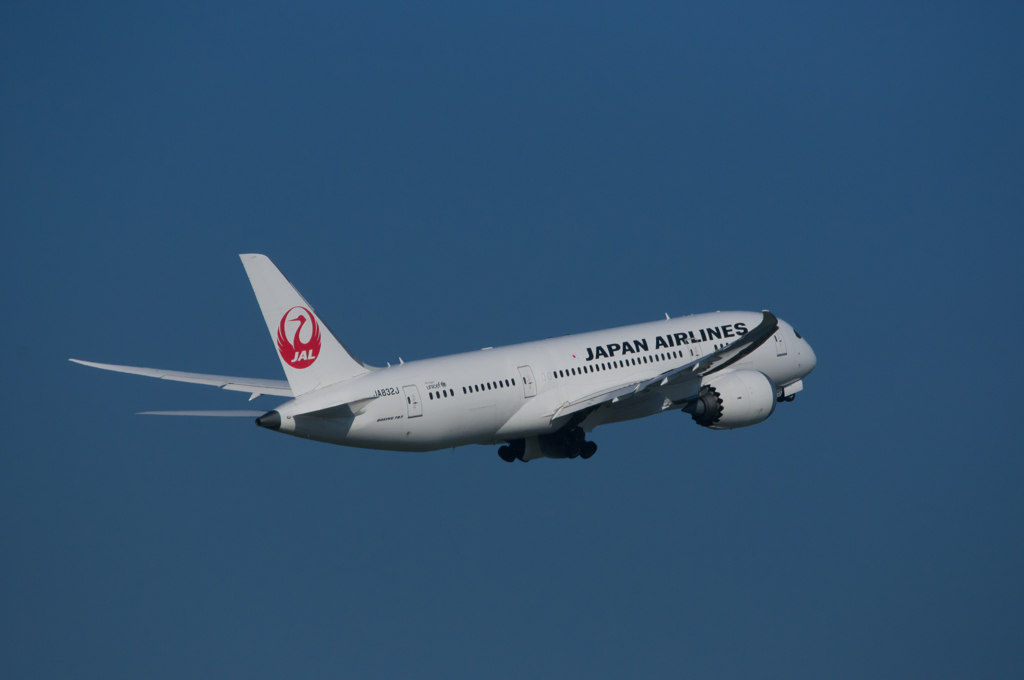 JALの787③