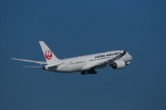 JALの787③