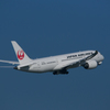 JALの787③