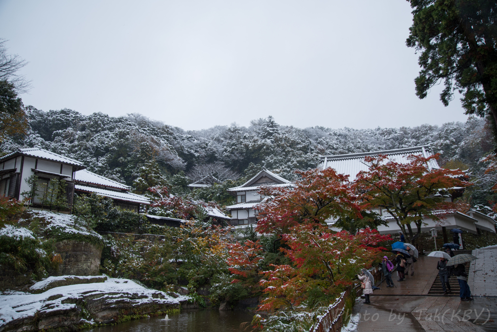 雪化粧