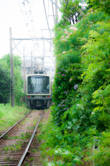 GREEN