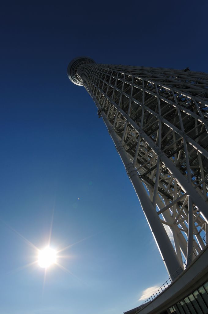 太陽よりも高く