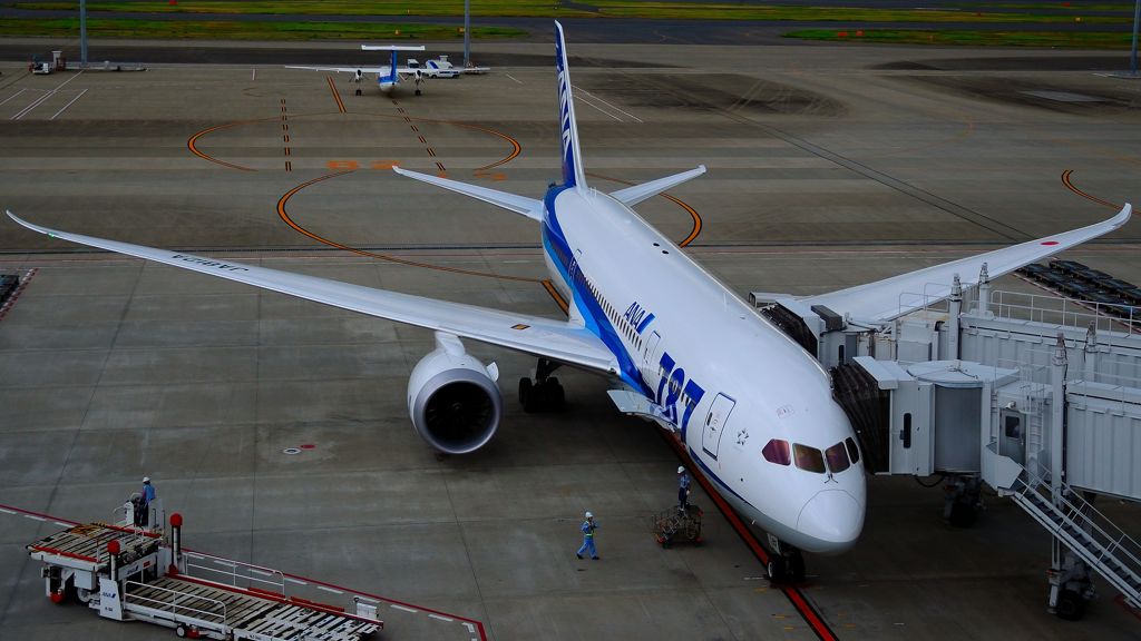 ローンチ・カスタマー　ANA