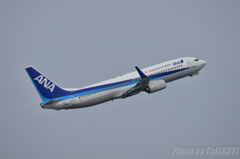 ANA737
