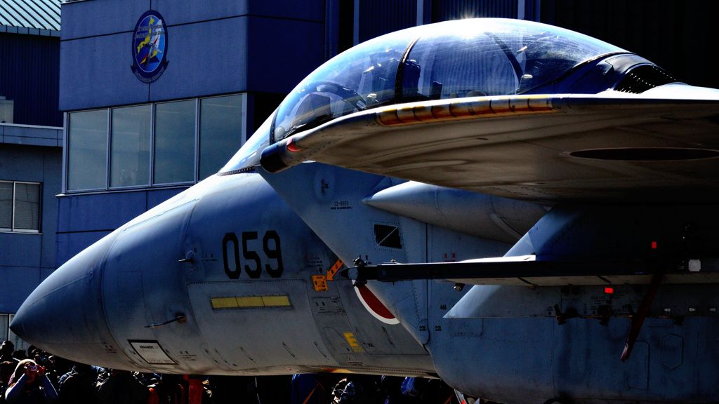 F-15DJ