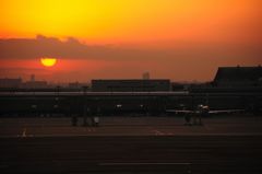 Haneda International Terminal