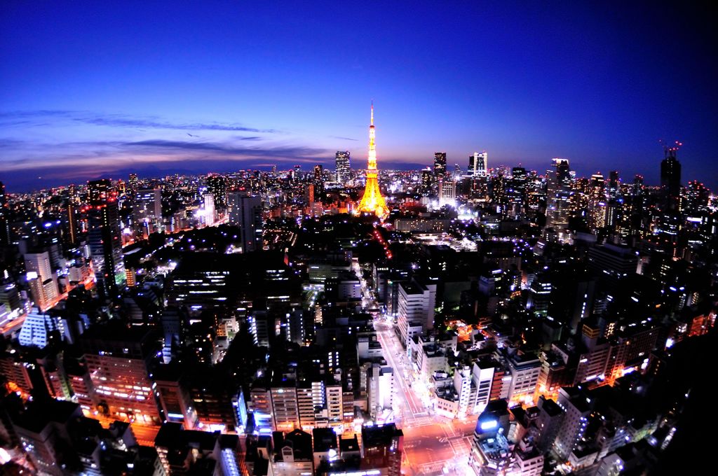 Tokyo Twilight