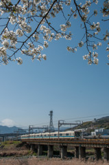 【蔵出し】青空×桜×小田急×富士山