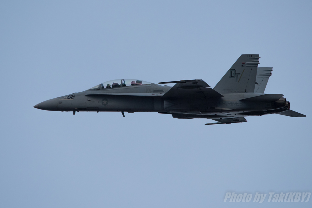 Legacy Hornet