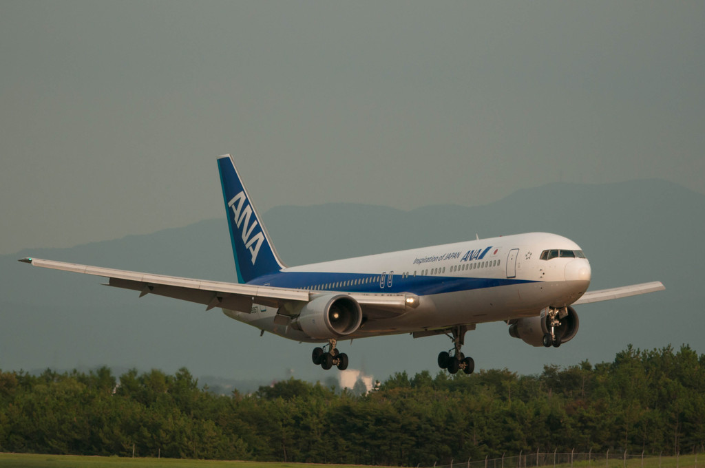 767