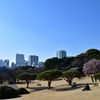 日向ぼっこ