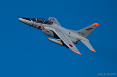オジロT-4