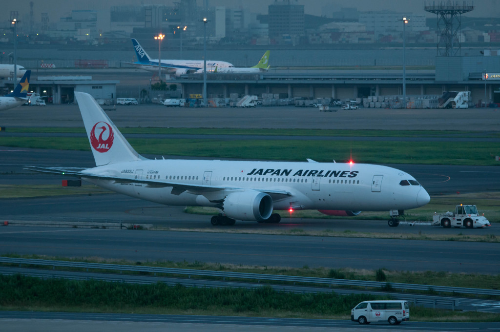 JAL787