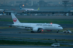 JAL787