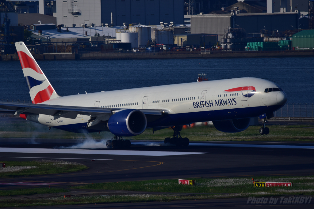SPEEDBIRD