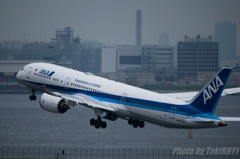 パイロンベイパー～787