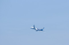 787 in th sky