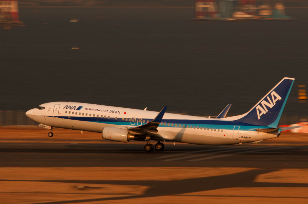 Orange737