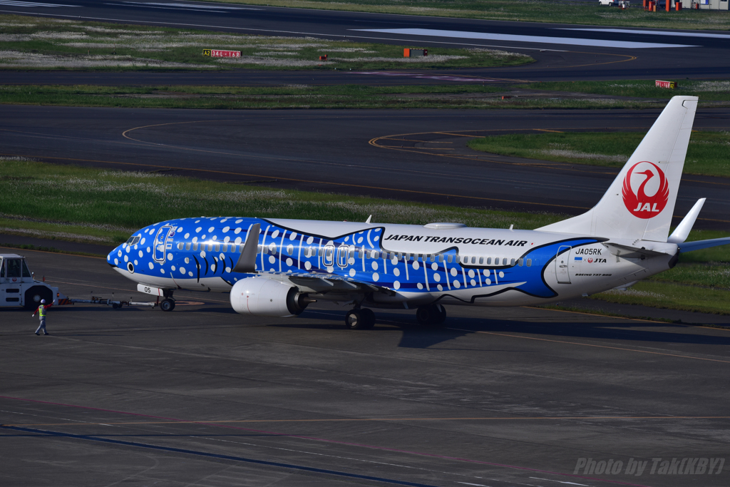 ジンベイJet