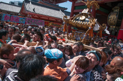 Japanese Festival!