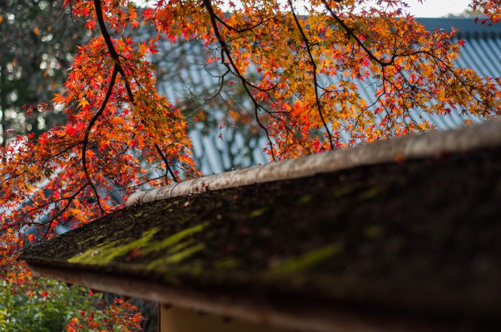 円覚寺～其の三