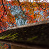 円覚寺～其の三